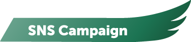 SNS Campaign