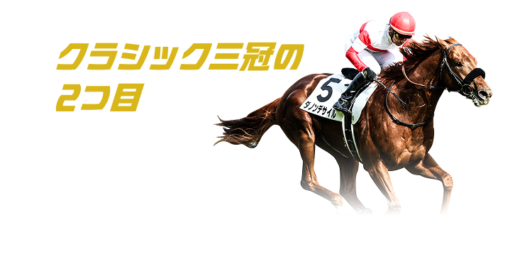 NVbNO2