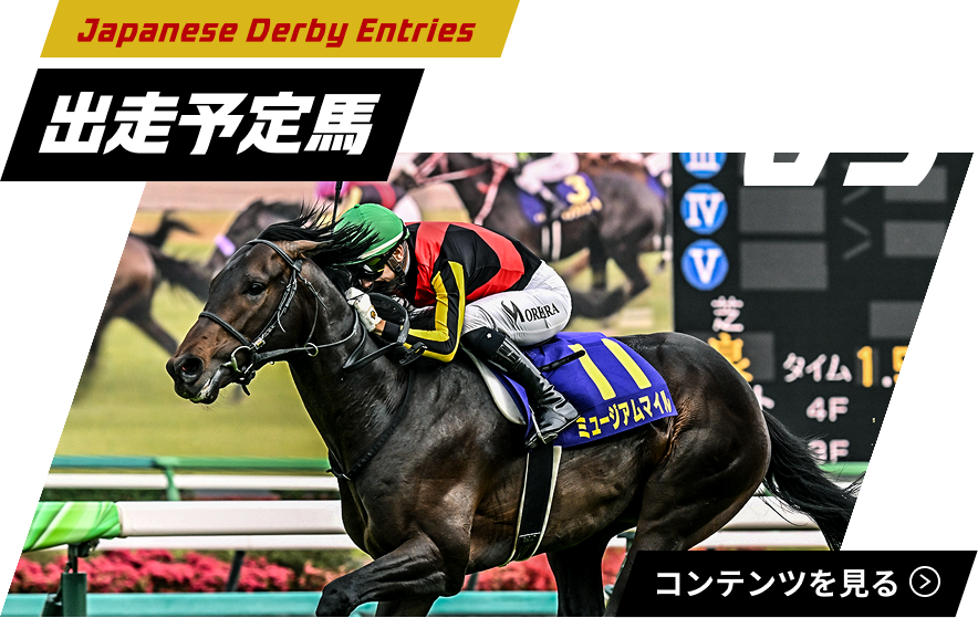 2025日本ダービー特設サイト｜JRA
