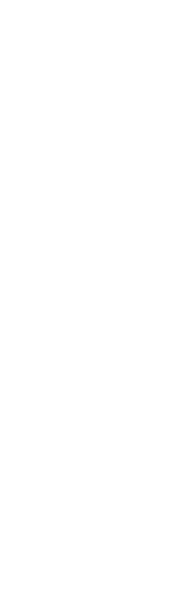 日本ダービー2025
