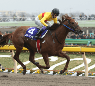 2023年メモリアルヒーローファン投票最終結果発表 JRA