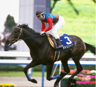 2023年メモリアルヒーローファン投票最終結果発表 JRA