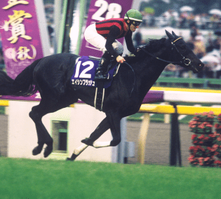 2023年メモリアルヒーローファン投票最終結果発表 JRA 2023年メモリアルヒーローファン投票最終結果発表 JRA