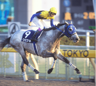 2023年メモリアルヒーローファン投票最終結果発表 JRA