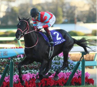 2023年メモリアルヒーローファン投票最終結果発表 JRA