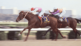 2023年メモリアルヒーローファン投票最終結果発表 JRA