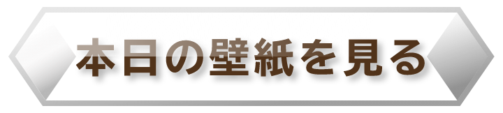 本日の壁紙を見る