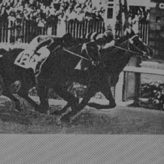 日本中央競馬会50年史60年史】JRA