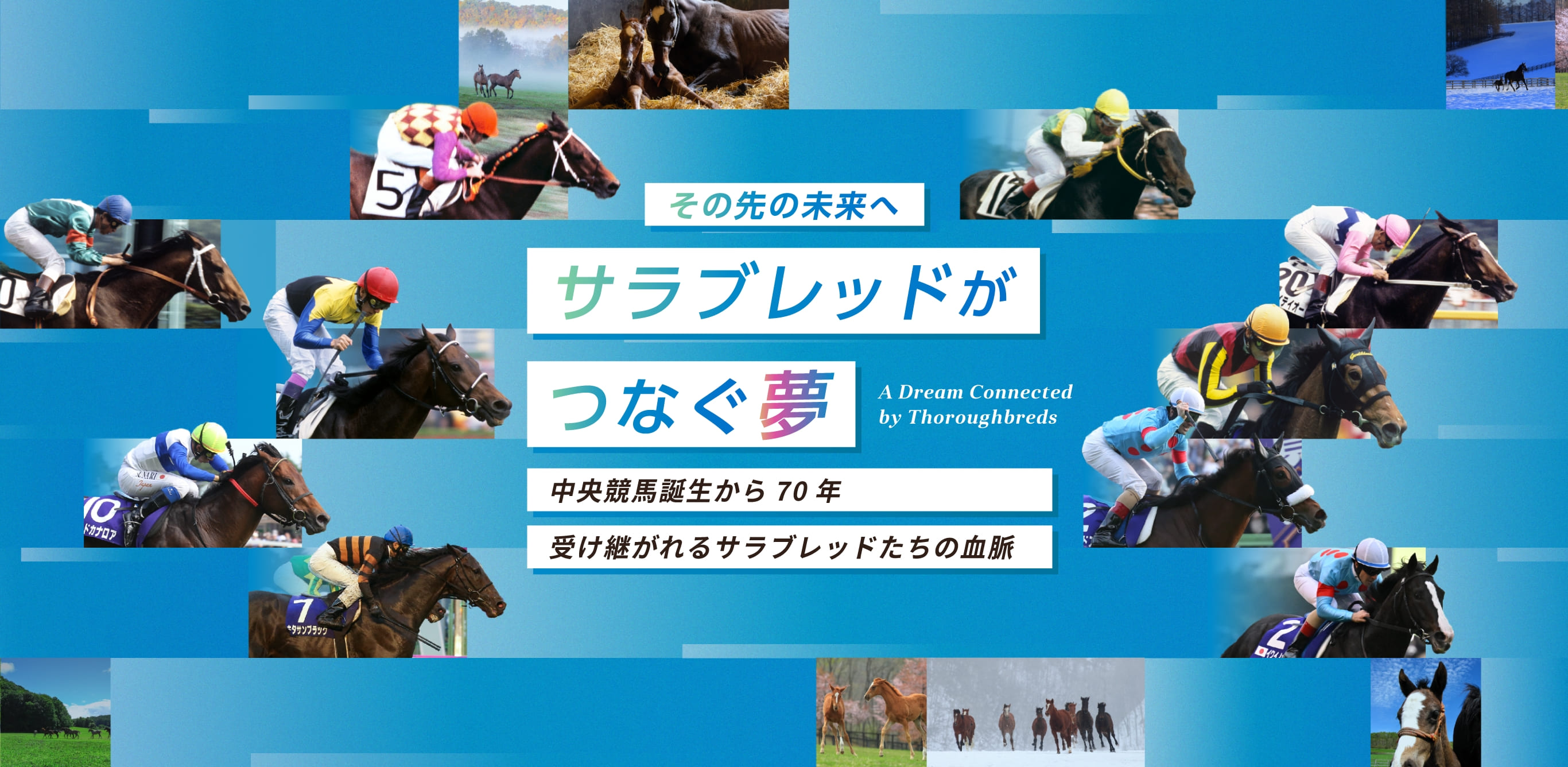 オールザットジャズの18 All That Jazz 18 牡 3歳 ※未登録の3
