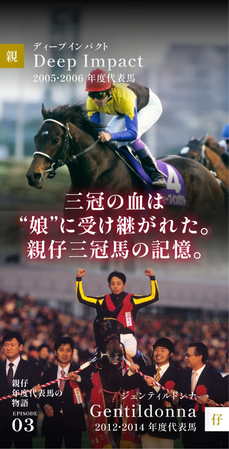 希少非売品ジェンティルドンナ 第33回ジャパンカップゴール/34回JRAポスター 販売 第33回ジャパンCポスター ジェンティルドンナ ジェンティルドンナ