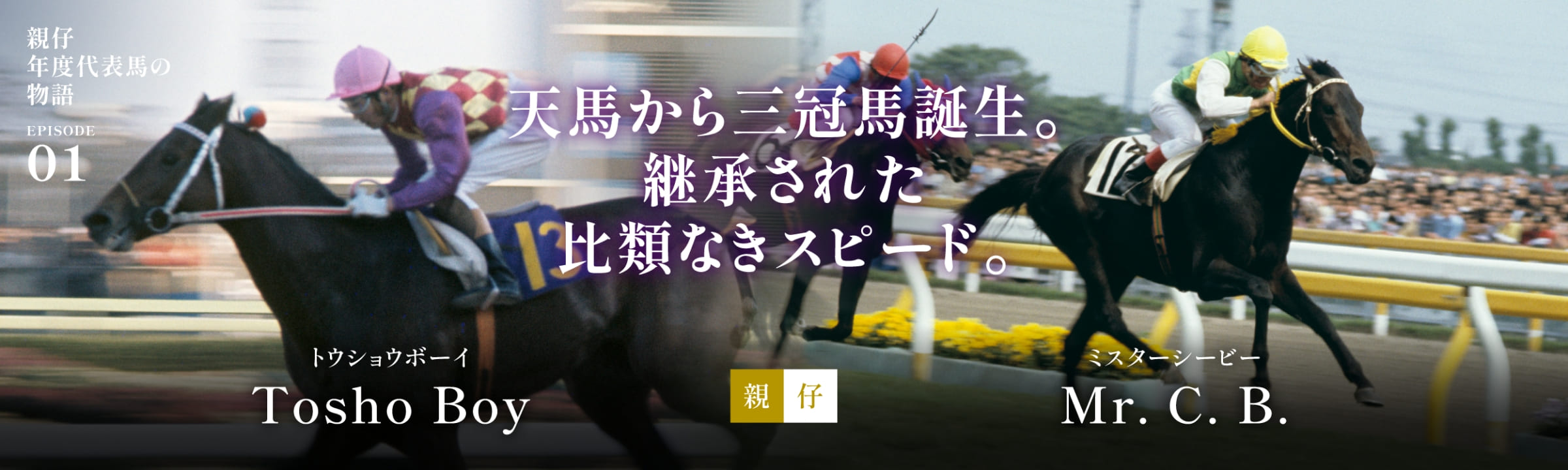 トウショウボーイ＆ミスターシービー