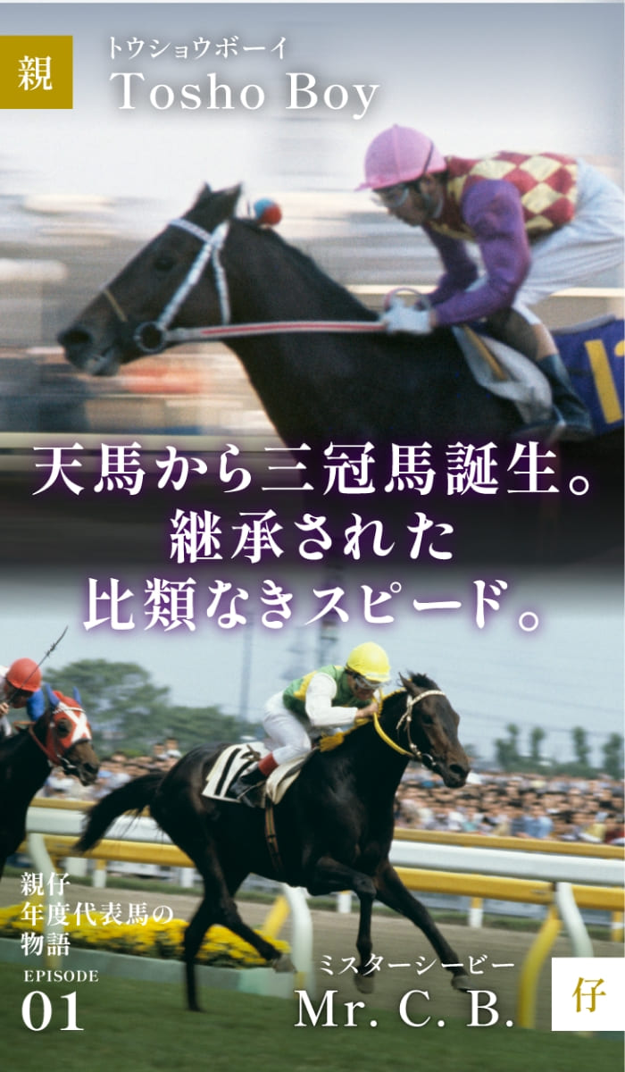 トウショウボーイ＆ミスターシービー