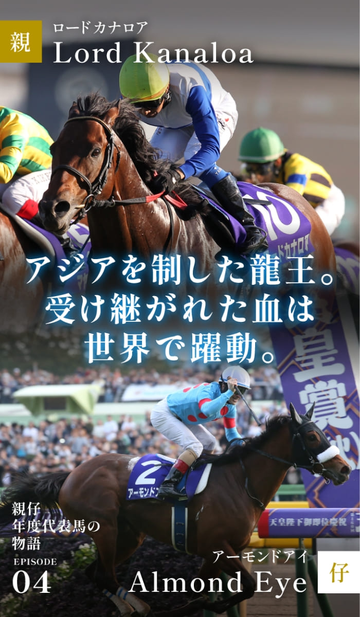 ロードカナロア 実使用 蹄鉄 ロードホースクラブ アーモンドアイ 年度