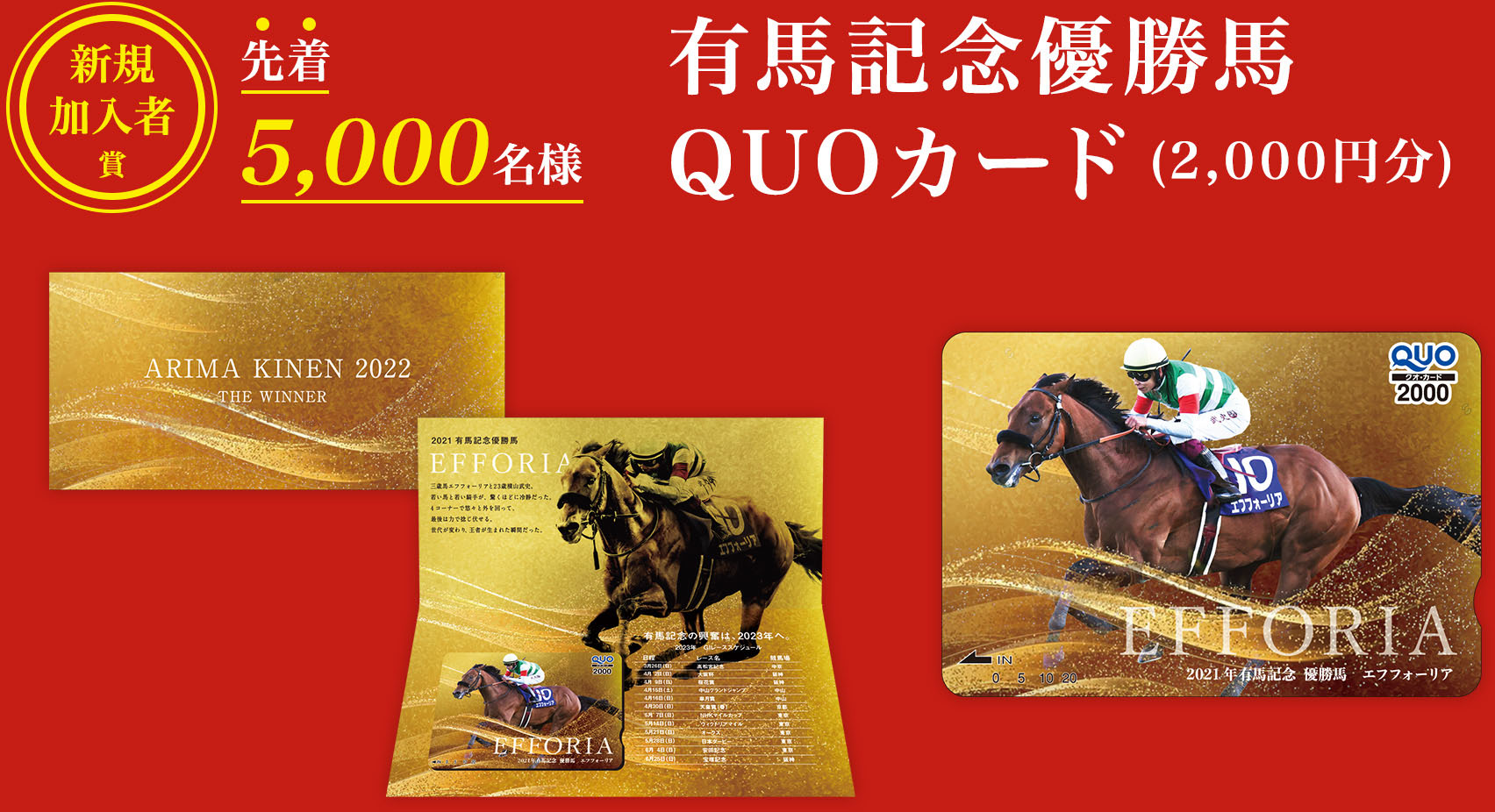 VKҏ 撅5,000l LnLODnQUOJ[hi2,000~j
