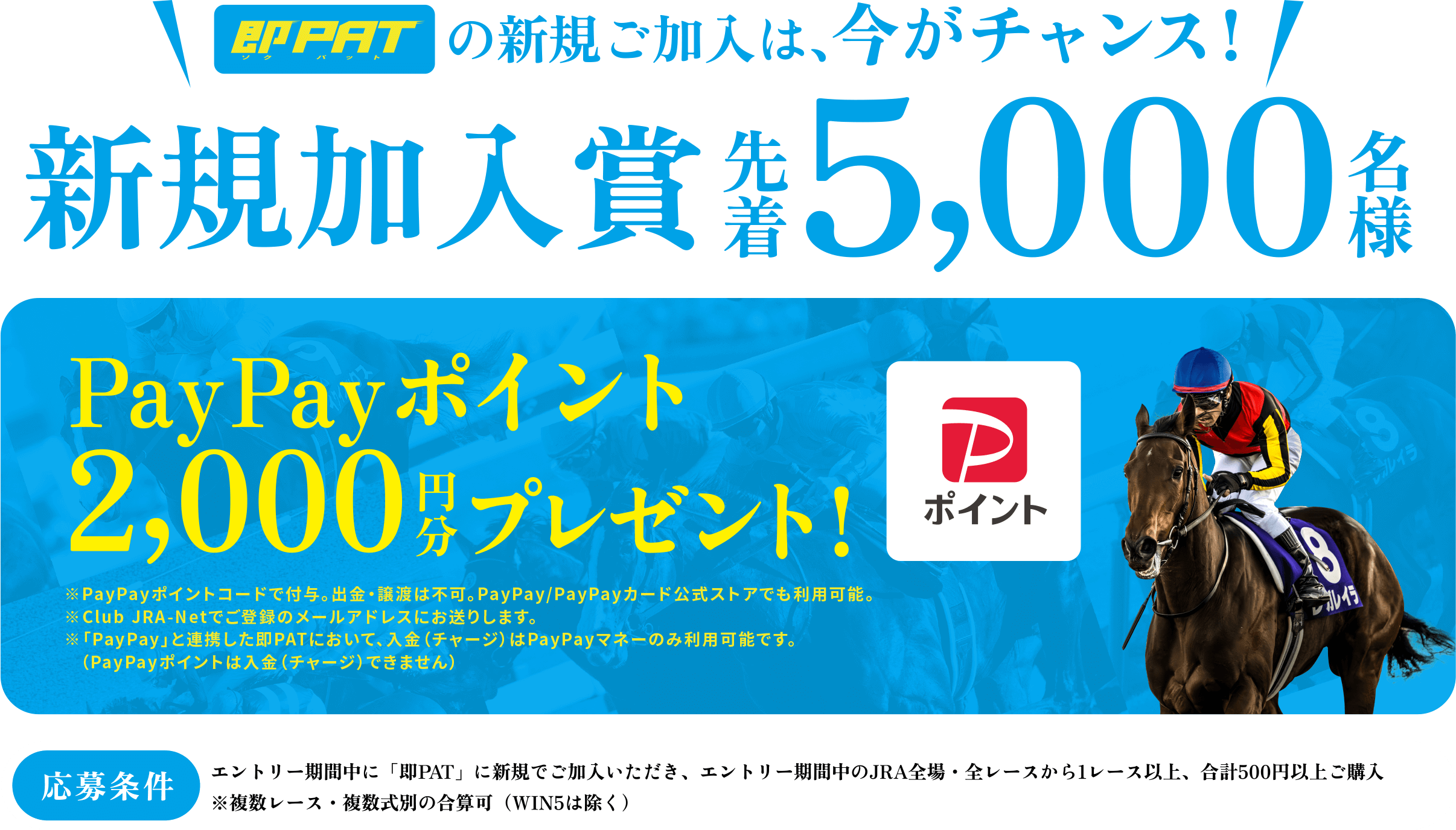 即PATの新規ご加入は、今がチャンス！先着5,000名様にPayPayポイント2,000円分プレゼント！