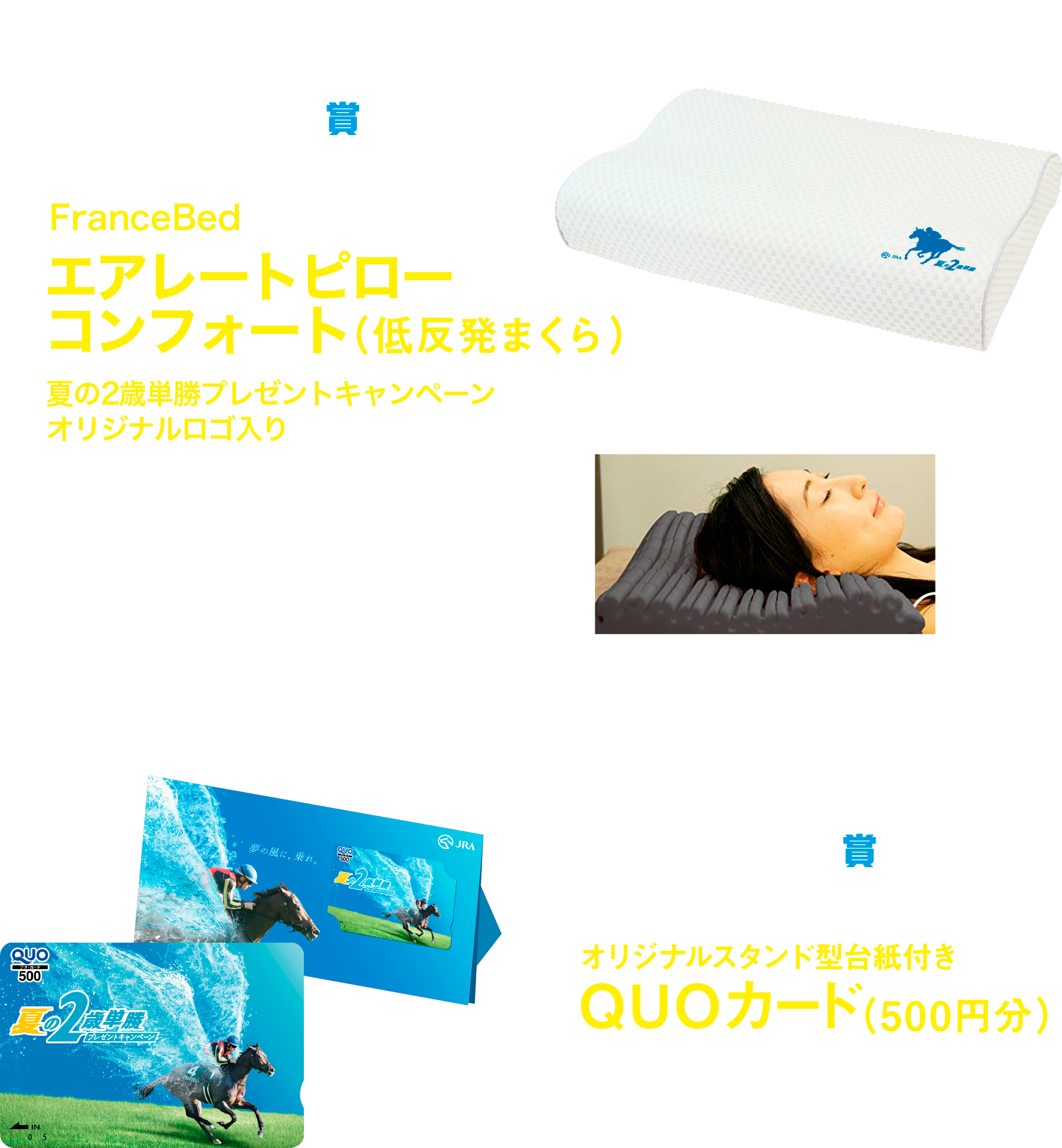賞品紹介　A賞 オリジナル エアレートピロー（低反発まくら）300名様 B賞オリジナルスタンド型台紙付きQUOカード（500円分）5,000名様