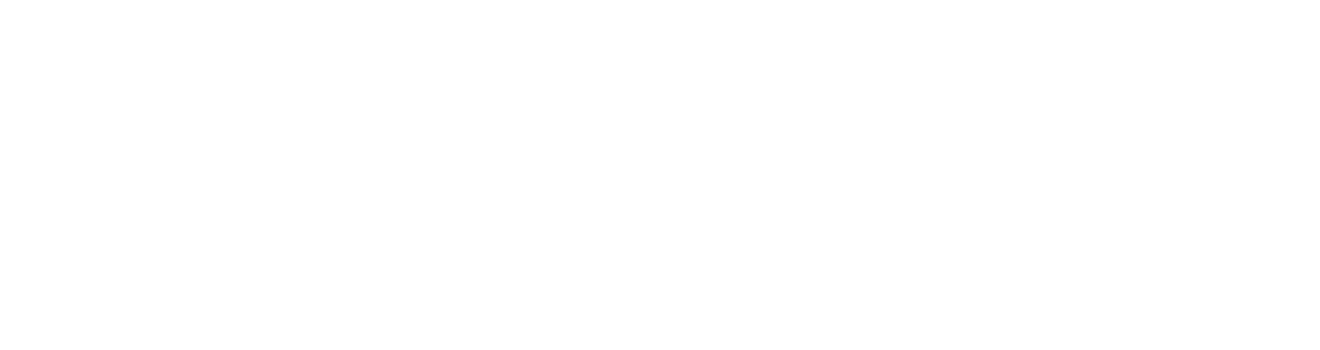 Q&A