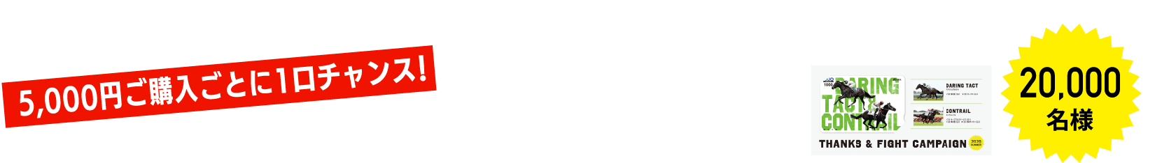 B賞 5,000円ご購入ごとに1口チャンス！ 無敗の二冠馬デザインQUOカード1,000円分（オリジナル台紙付き） 20,000名様