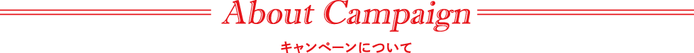 キャンペーンについて