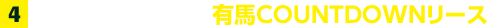 3.2頭の馬が走り抜ける！有馬COUNTDOWNリース
