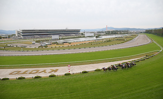 京都競馬場 芝コース 3コーナー