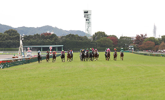 京都競馬場 芝コース ゴール前