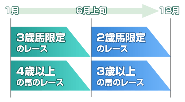 6月上旬から12月まで2歳馬限定・3歳以上の馬のレース、1月から6月上旬まで3歳馬限定、4歳以上の馬のレースが行われる。
